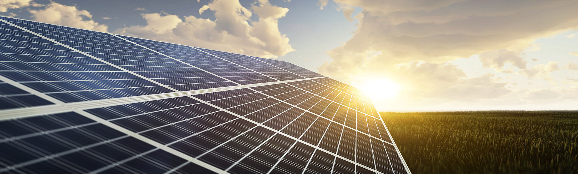 sunlit solar panels, grassy field