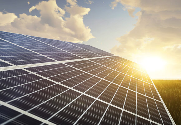 sunlit solar panels, grassy field