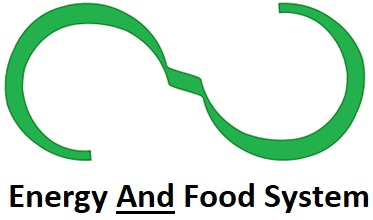 Energy And Food System logo